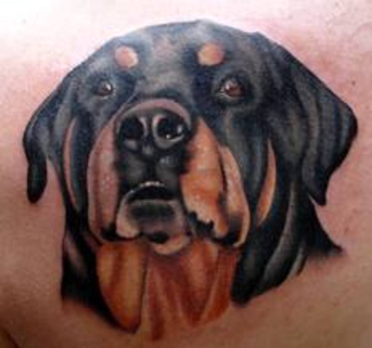 rottweiler-tattoos-and-meanings