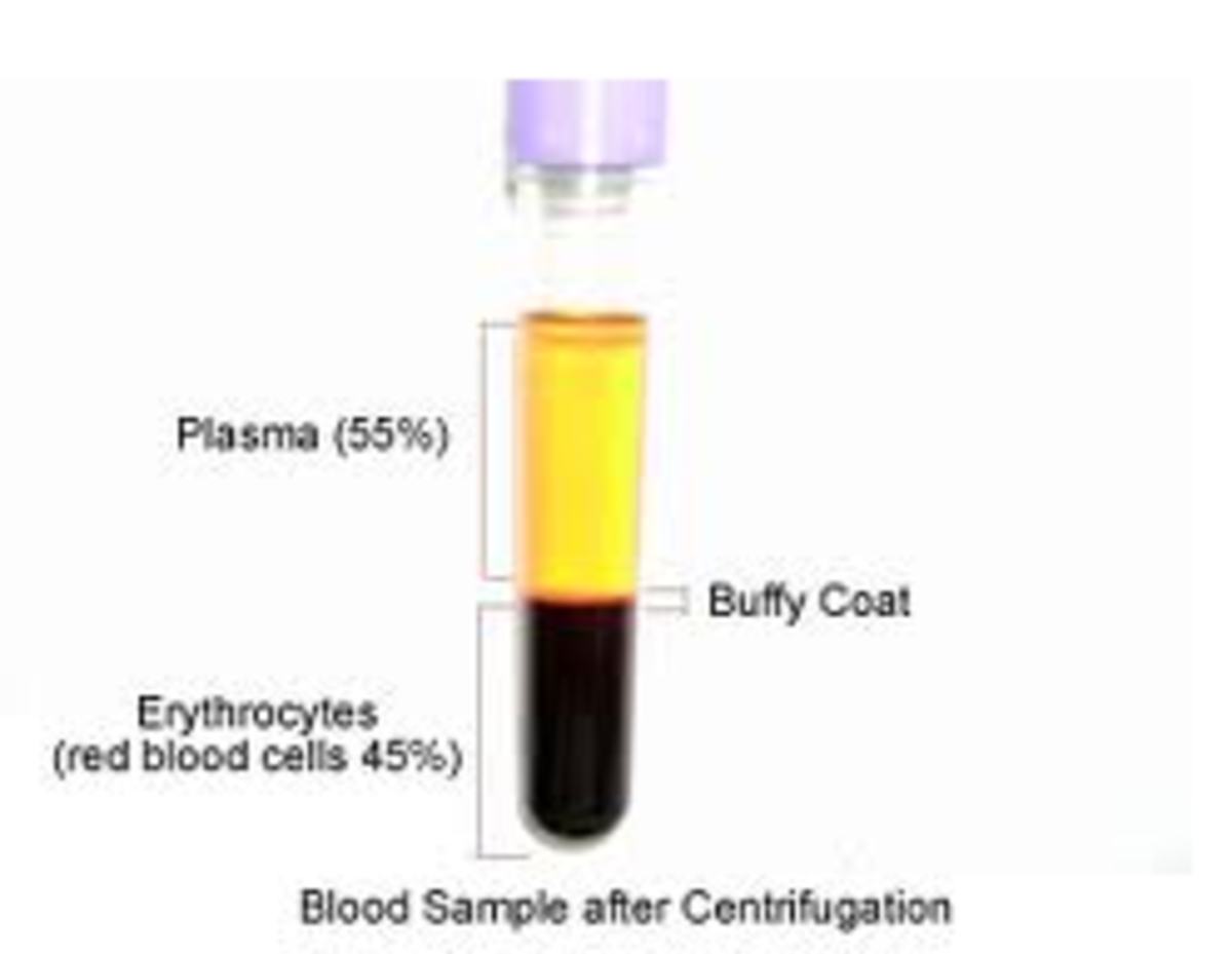 How to Centrifuge Blood Tubes