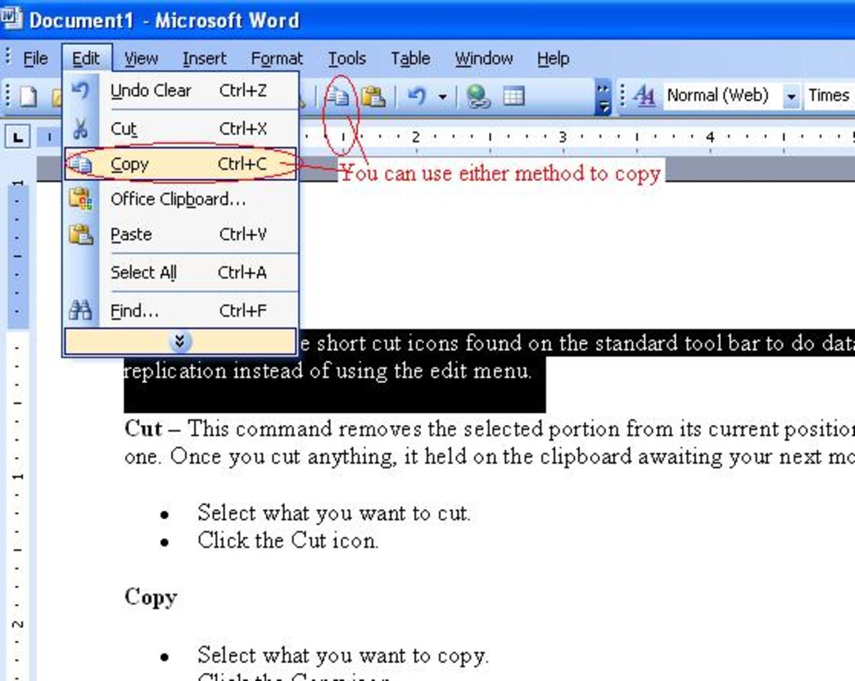 Introduction to Microsoft Word - Using the Cut, Copy, and Paste Tools