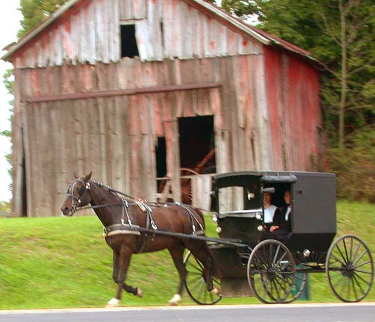 Amish or Mennonites? What is the difference? HubPages