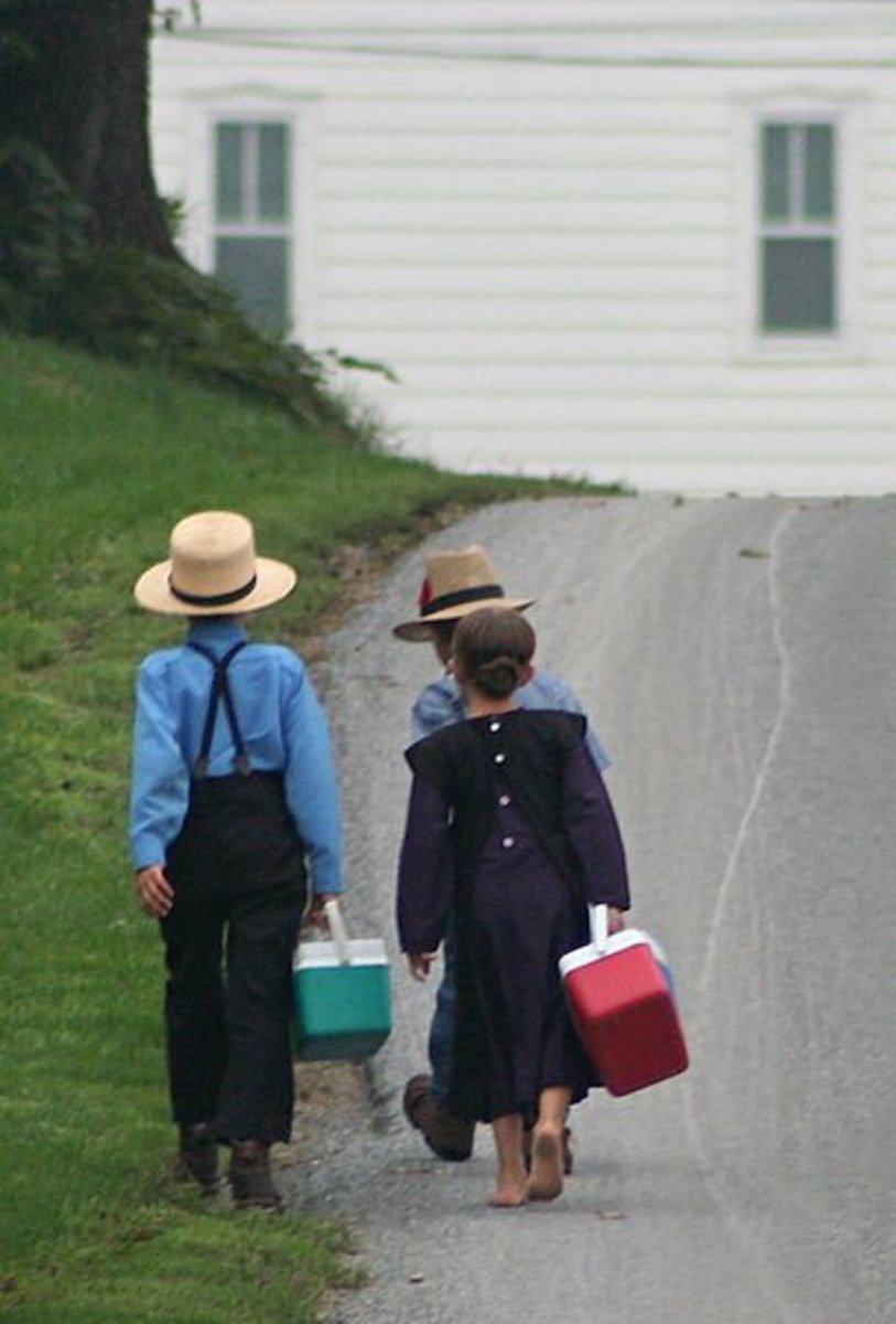 Amish or Mennonites? What is the difference? HubPages