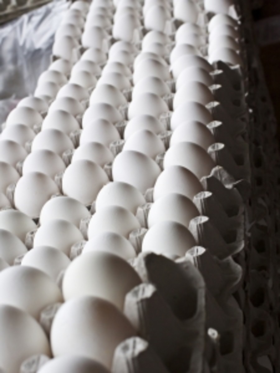 Eggs at the market.