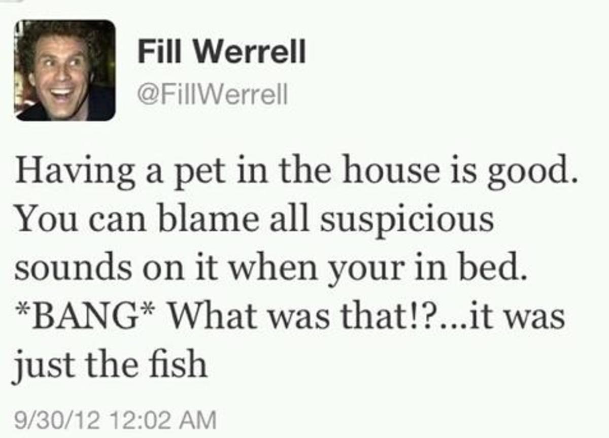 funny will ferrel tweets