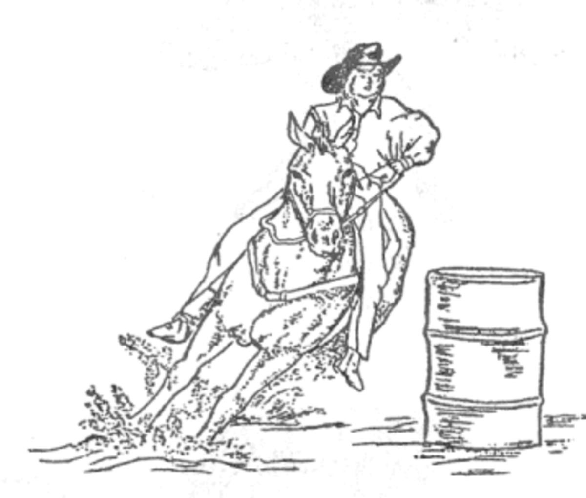 cowgirl barrel racing stamp