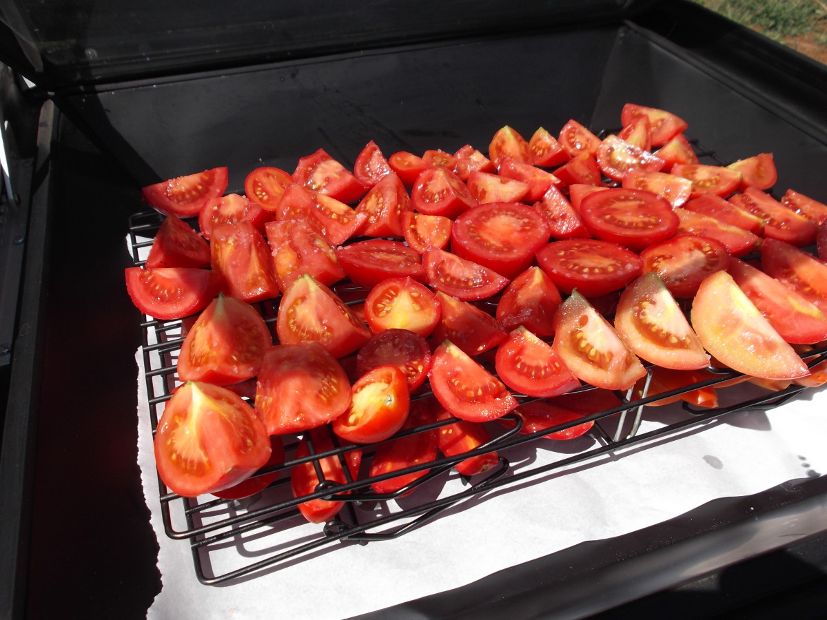 https://images.saymedia-content.com/.image/t_share/MTc2NDU3NjI1NDAyMDkxNDgy/cooking-with-sunshine-in-my-solar-cooker.jpg