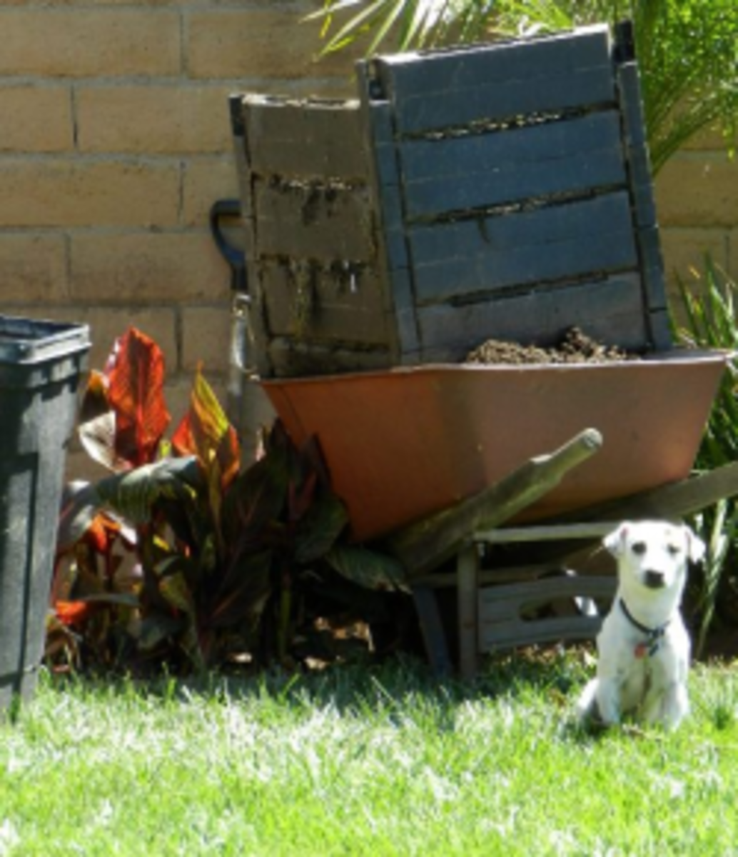 Scepter Garden Gourmet Composter Assembly Instructions Fasci Garden