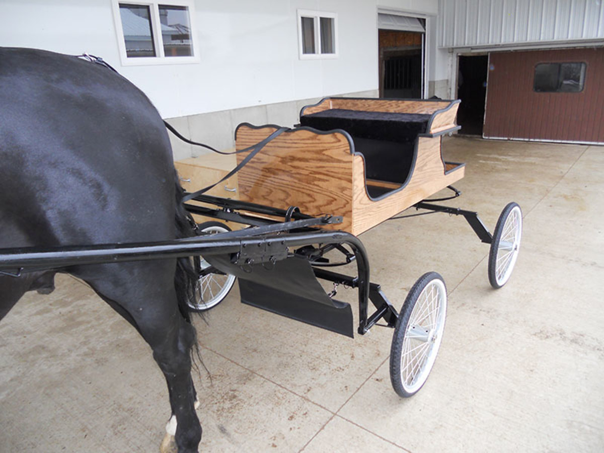 horse-trailer-compatible-show-buggy-a-show-buggy-that-packs-up-into-a-tack-box