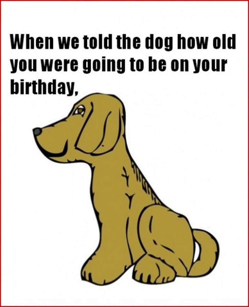 Funny Birthday Card from Family Dog