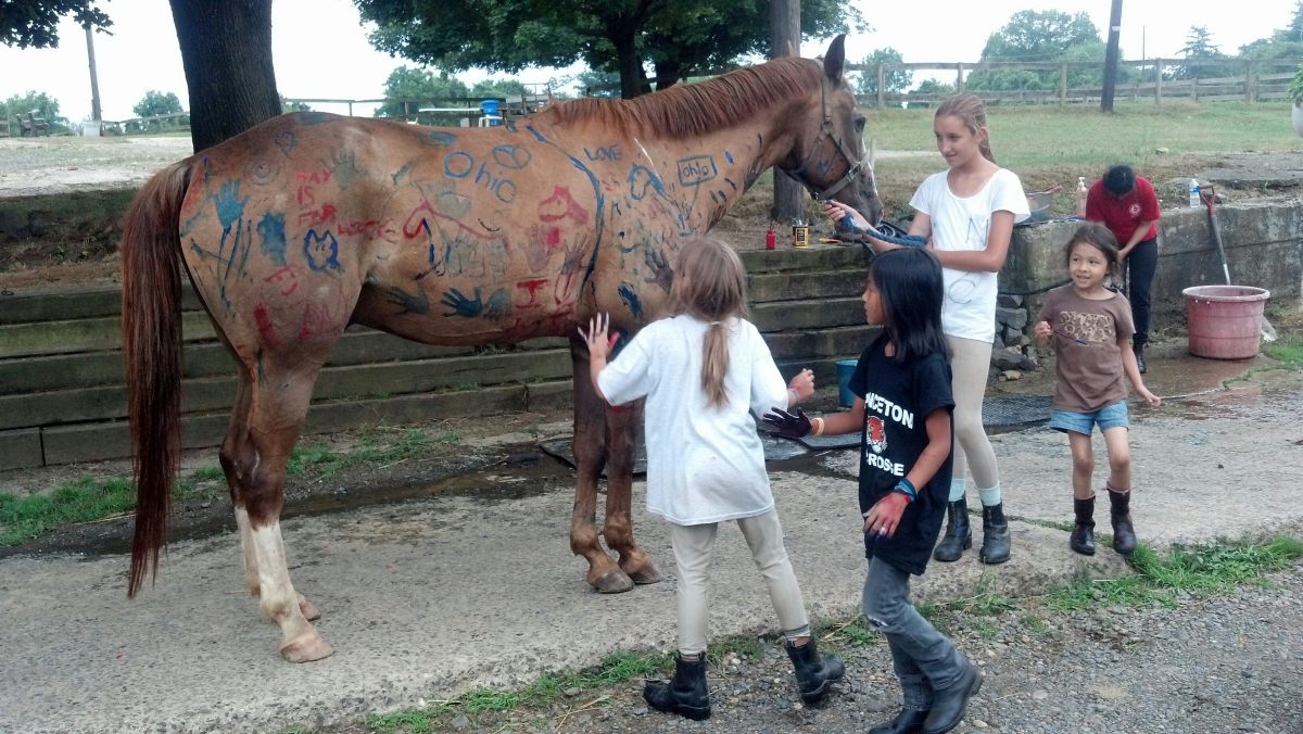 horse-summer-camp-craft-and-game-ideas