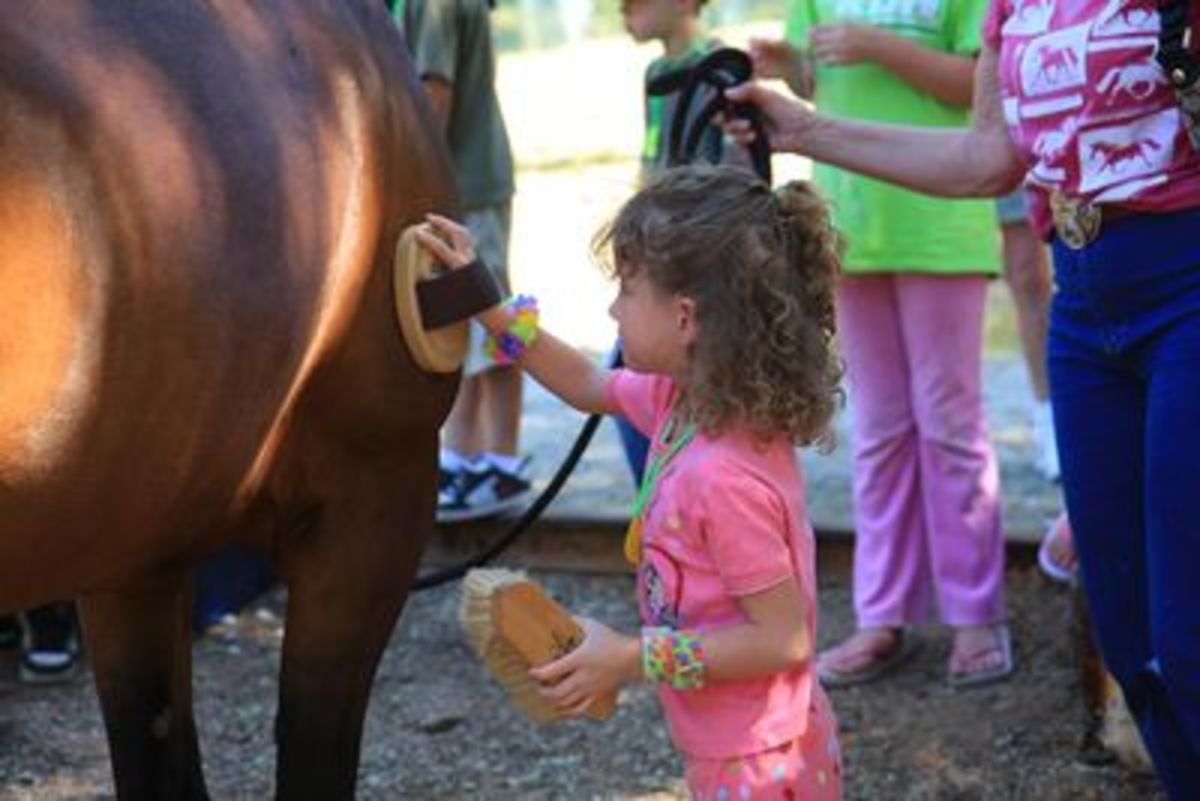 horse-summer-camp-craft-and-game-ideas