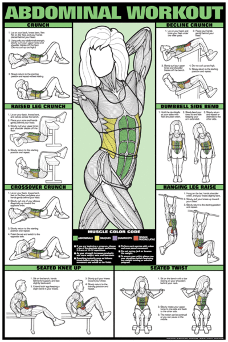 green yellow and black and white poster of Abdominal Muscles on a female