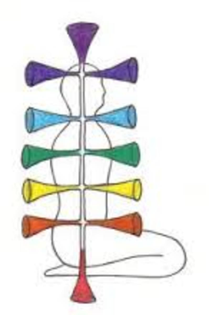 Vortices called Chakras:  front to back view.