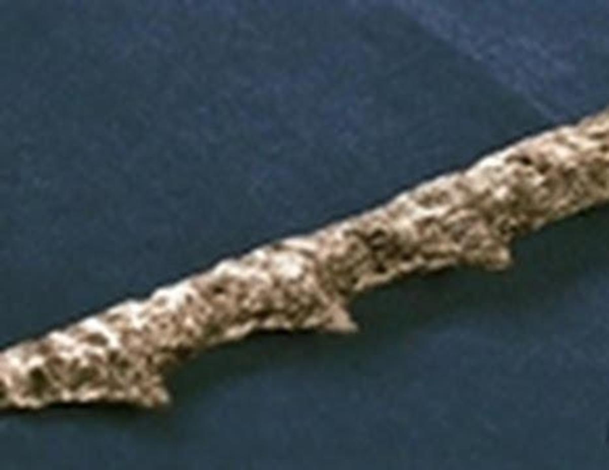 Was this spear found sticking in a fish pulled up out of the ocean off the Hawaiian Islands once belong to a real live mermaid?