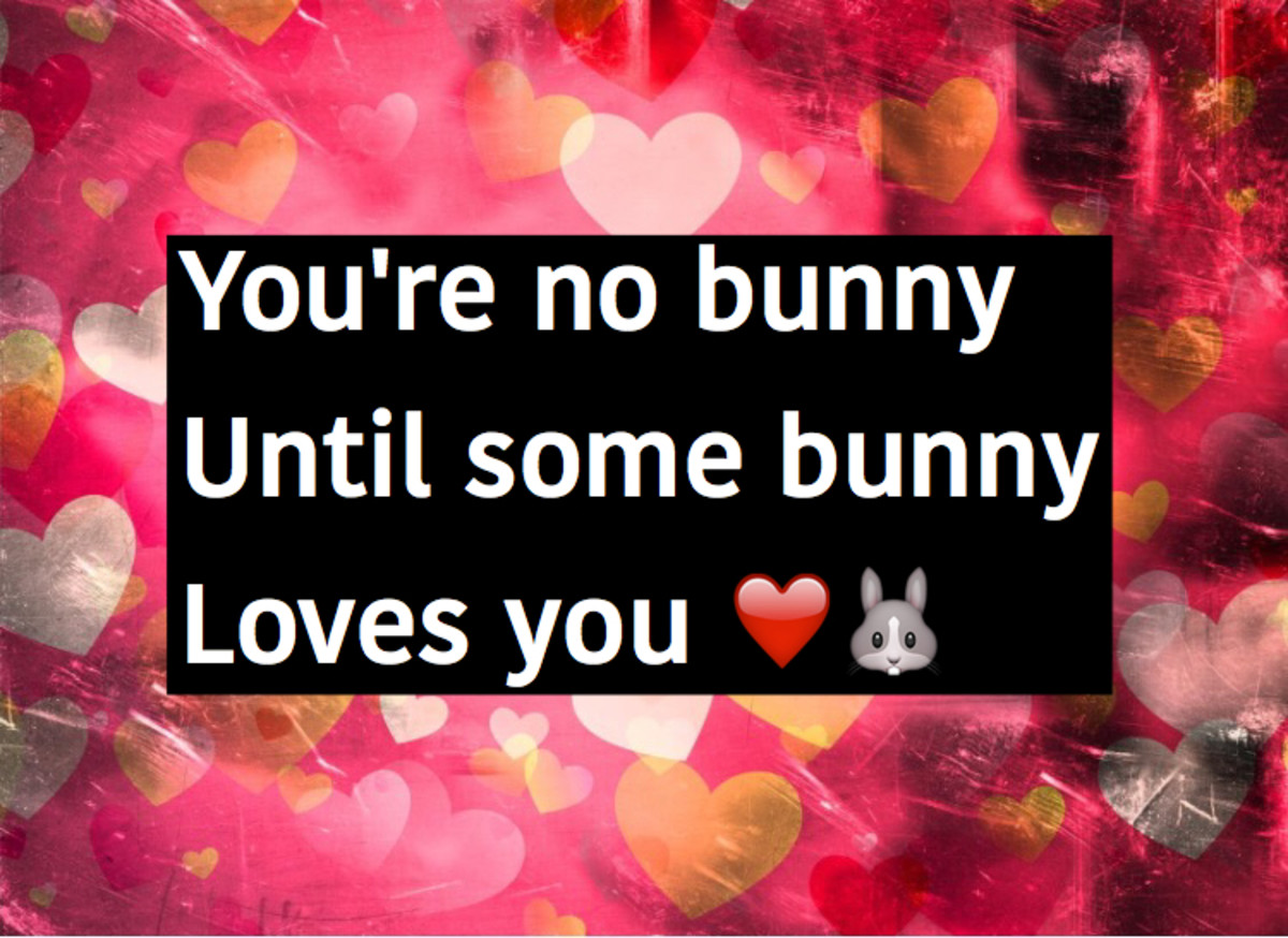 Easter Bunny Quotes, Jokes And Status Updates