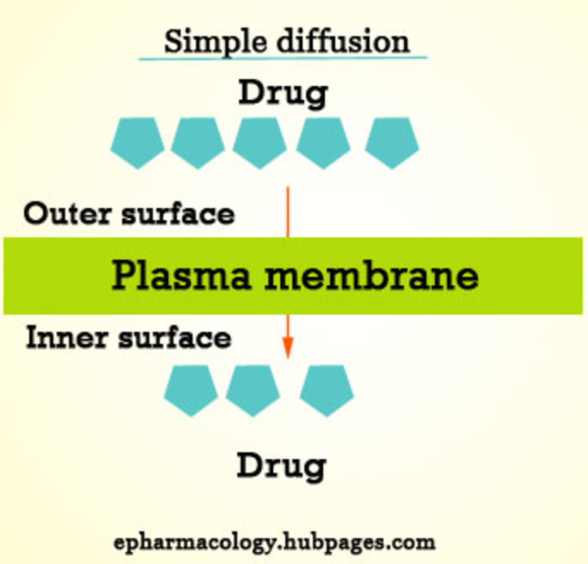 Simple diffusion of drugs!