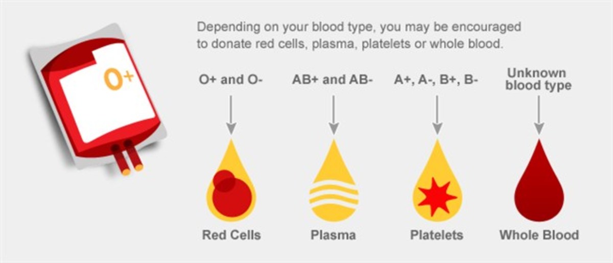 Виды доноров. Виды доноров крови. Типы крови донорство. Донорство крови тромбоциты.