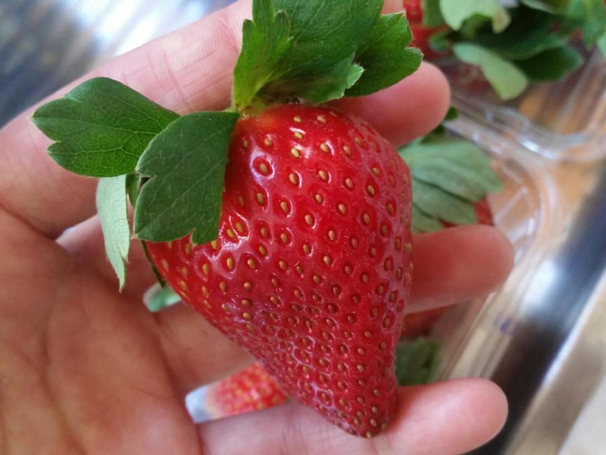 You Can Leave Your Cap On - The pretty green leafy cap on strawberries provide added nutrients, so leave them on.