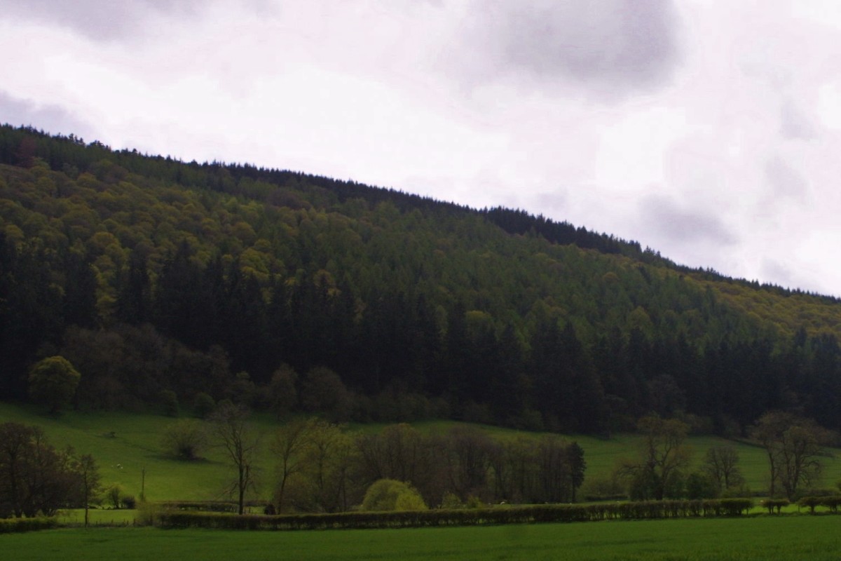 Sowdley Wood, part of the once great Clun Forest and domain of Elf Queen, Godda.