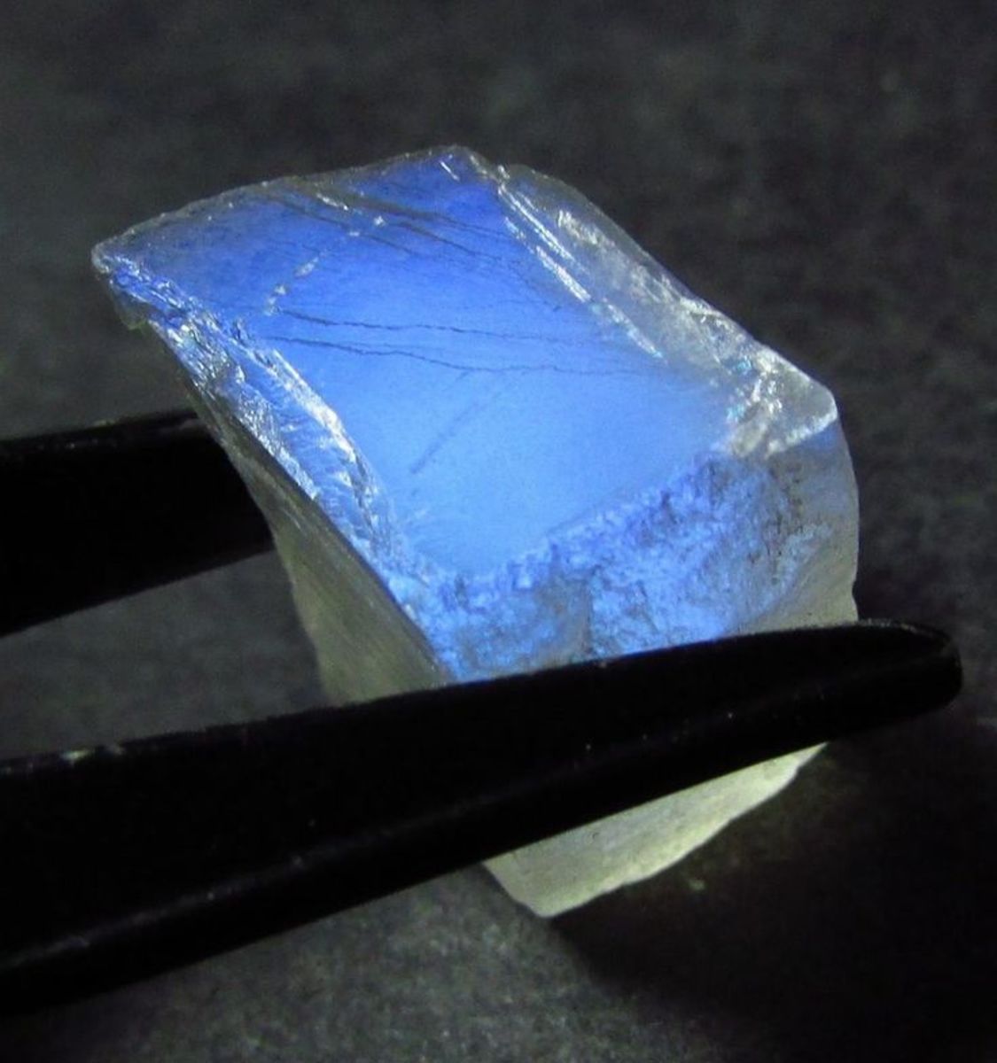 A stunning example of a blue Schiller in an uncut moonstone specimen. Courtesy of jewelsroughgems ebay.com
