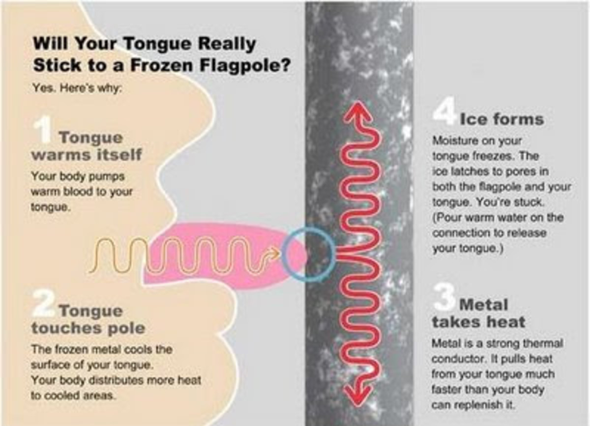 why-the-tongue-sticks-to-metal-in-the-winter