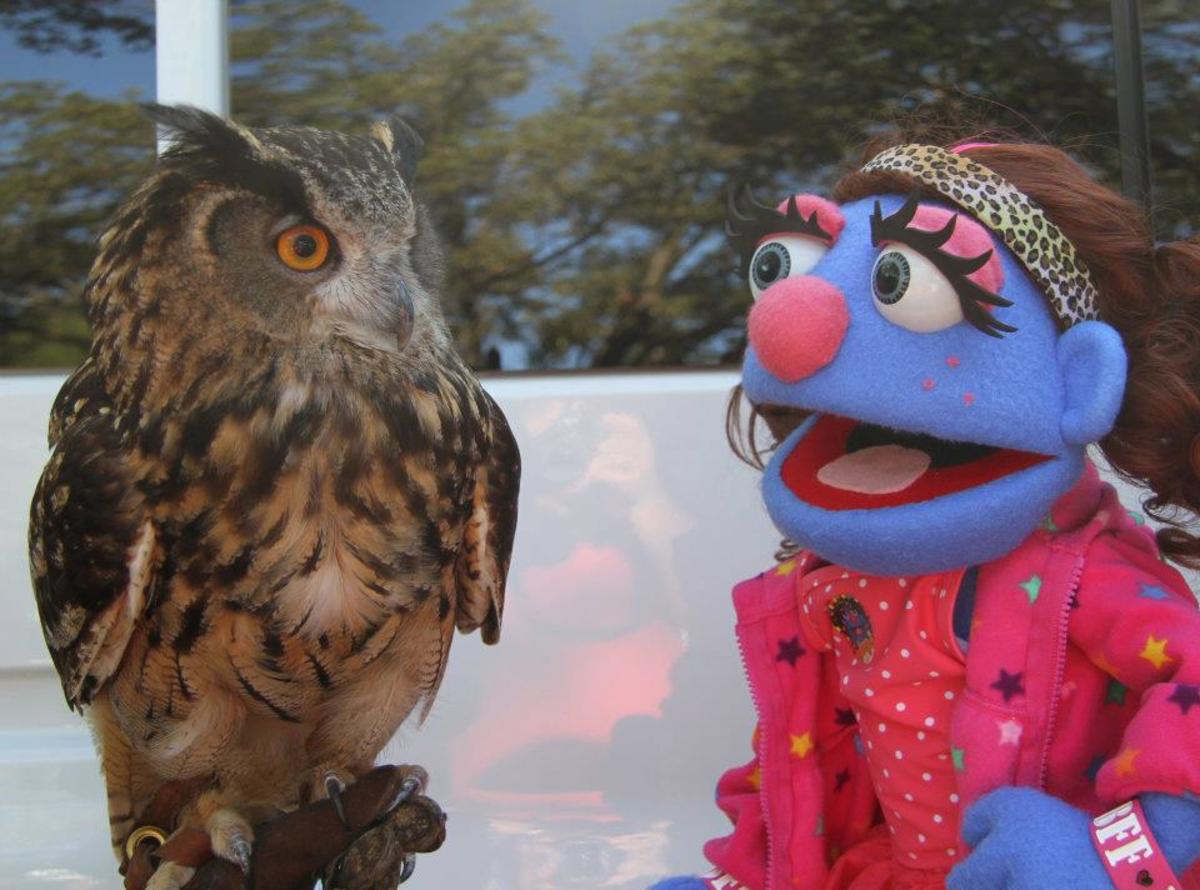An Anything Muppet with an owl