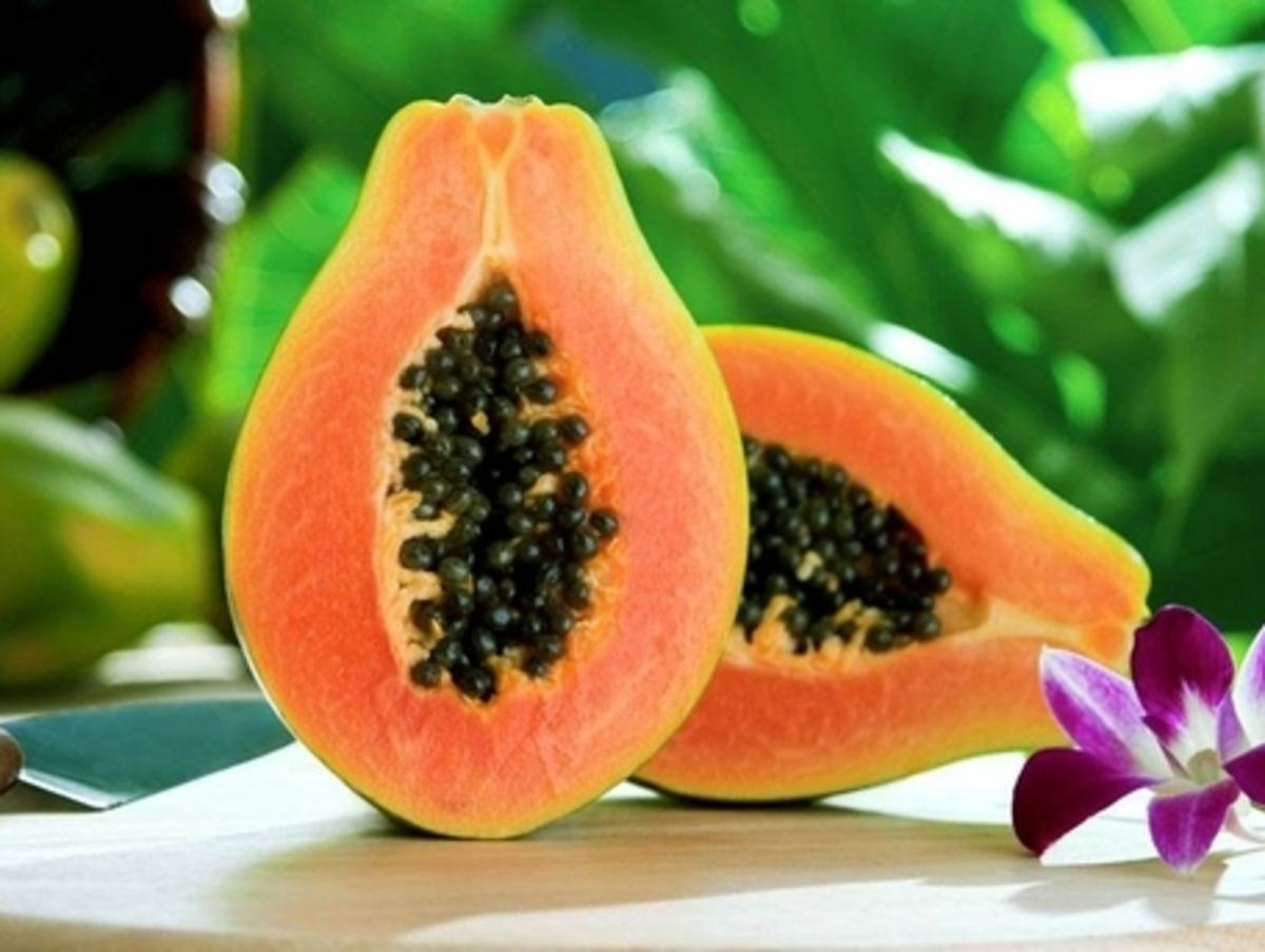 Papaya- natural source of Vitamins and Minerals