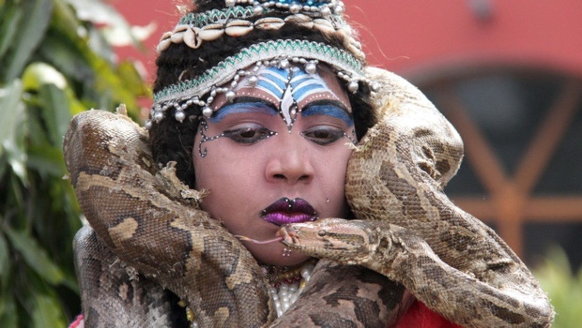 Pythons are considered divine ornaments of Lord Shiva.