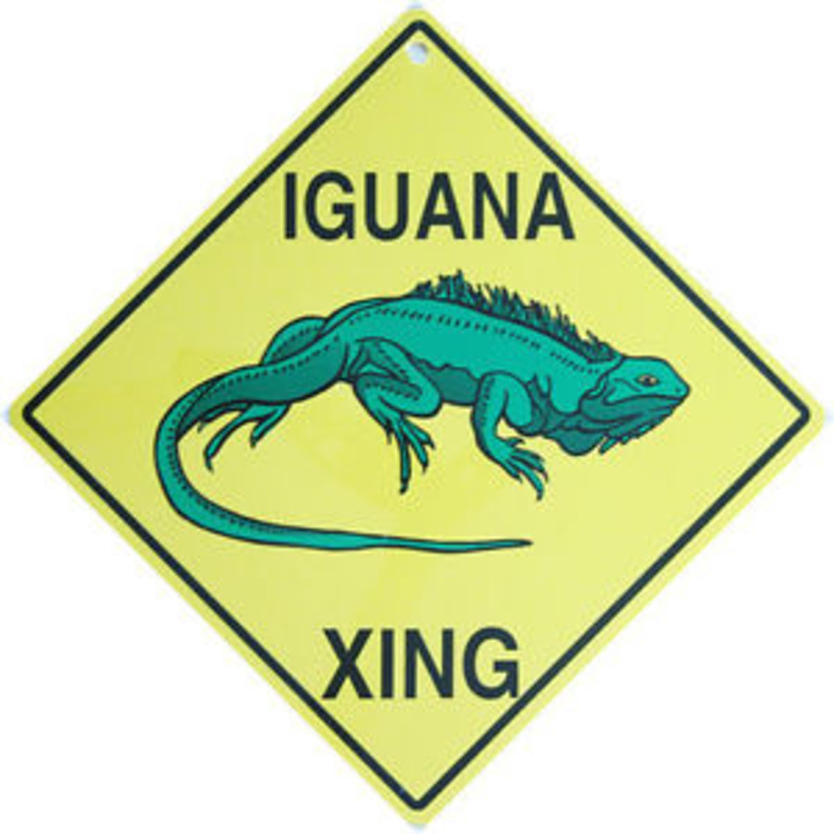 Iguana Crossing signs