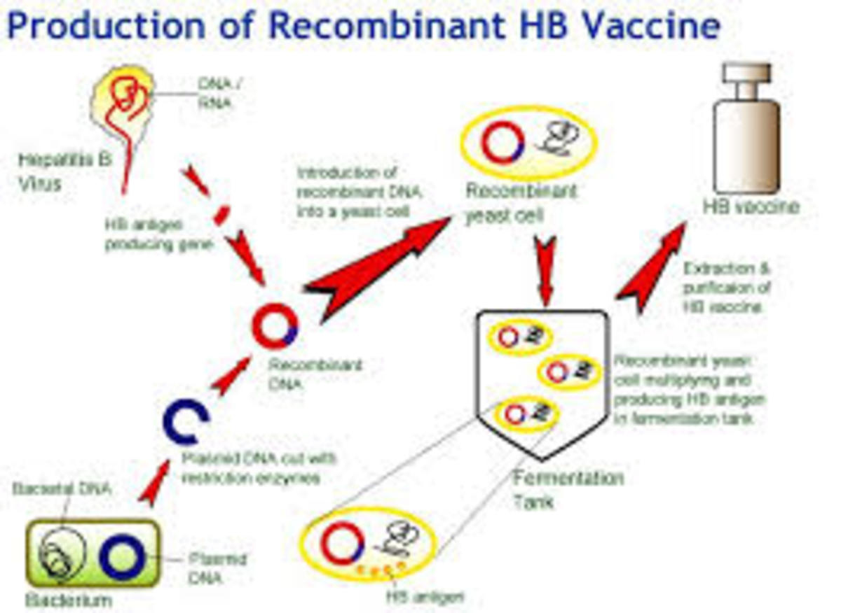 production-of-recombinant-therapeutic-proteins