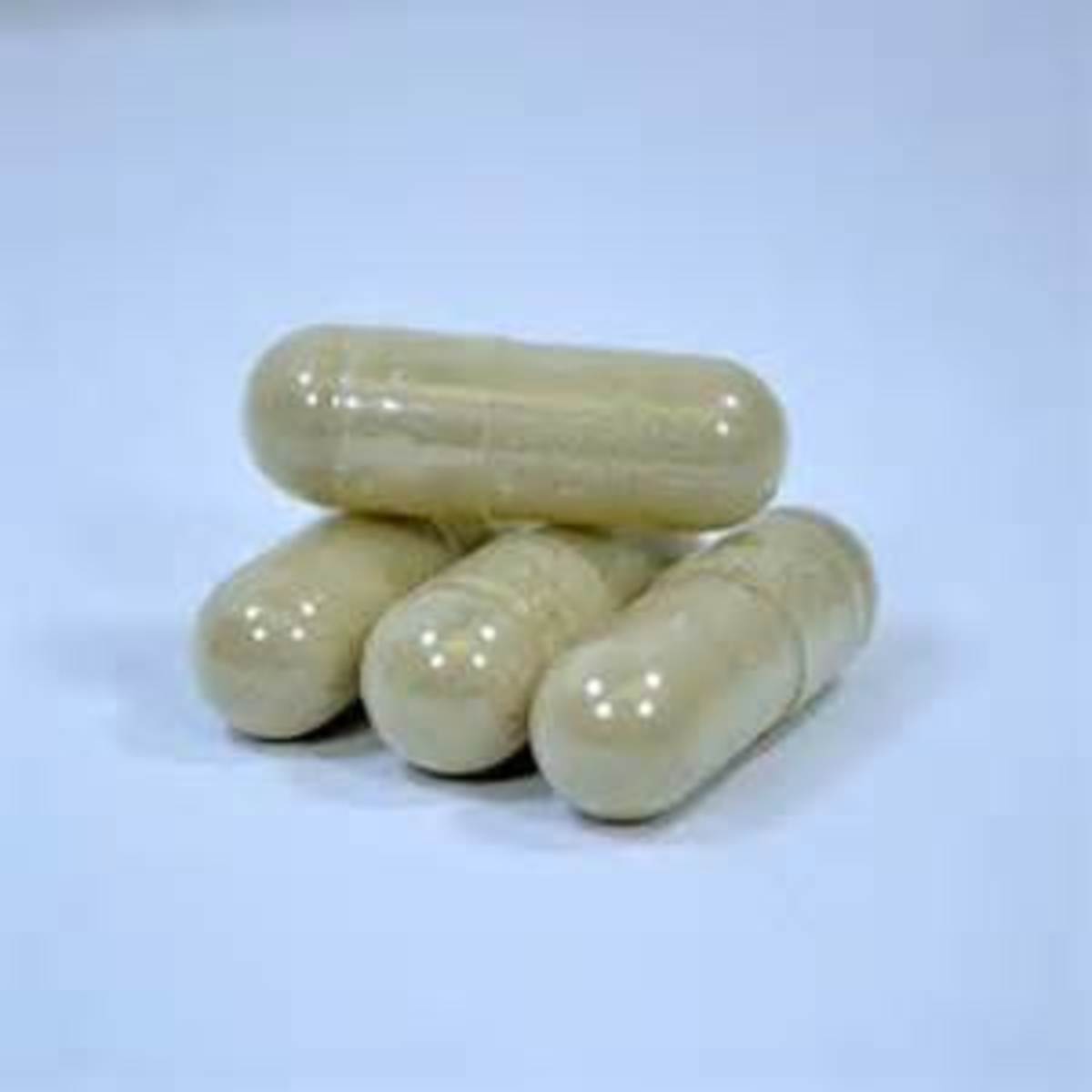 Typical hoodia diet pill capsule. (Usually they are sold in powder form. 