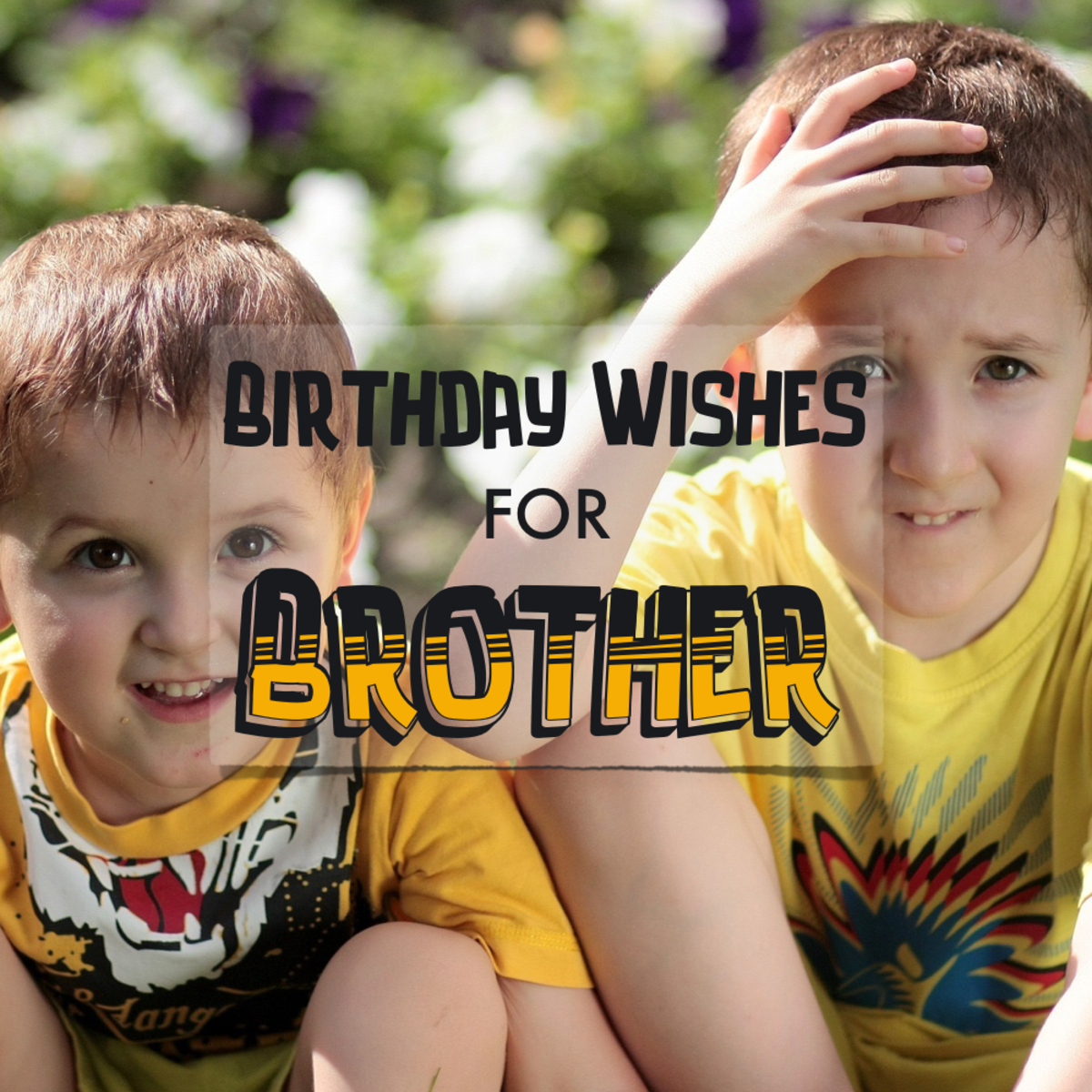Birthday Wishes for Brother - Funny Quotes, Heartfelt / Sincere Poems