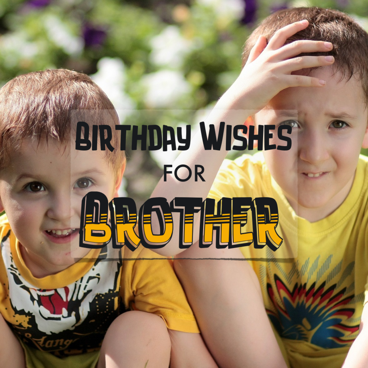 Birthday Wishes For Brother Funny Quotes Heartfelt Sincere Poems 