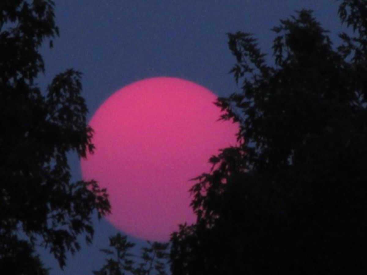 This image taken on June 30, 2015 in Tennessee, many claim is our Sun seen through the haze of Canadian wildfires but because it set in the North and was still light outside a hour and a half afterwards, makes me doubt this assertion.