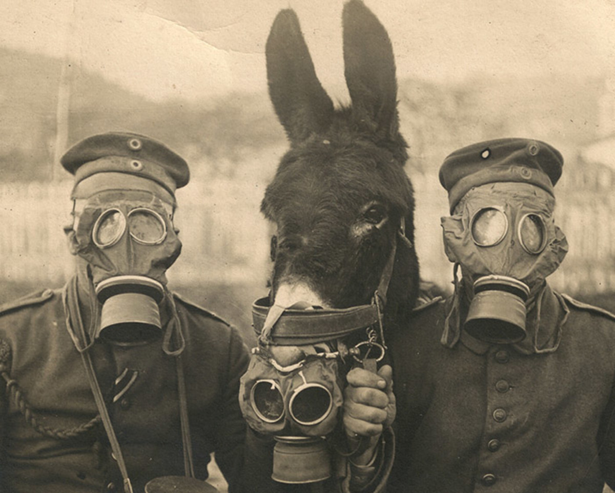 Examples of Biological Warfare Through History HubPages