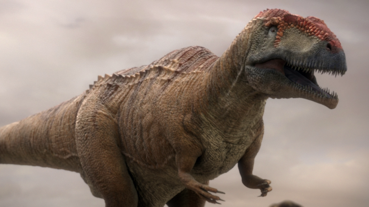 (cc image, Planet Dinosaur Wiki) Mapusaurus - Believed to Have Hunted in Packs
