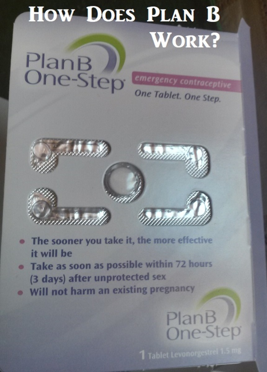 will-plan-b-work-after-ovulation