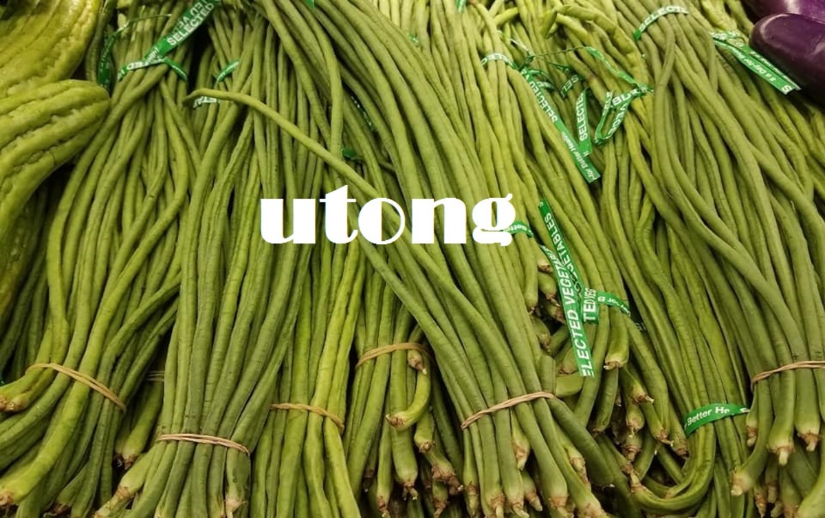 Utong(长豆)