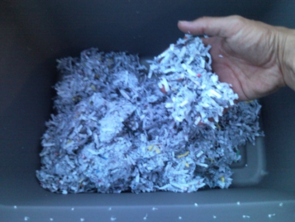 Shredded newspaper just mixed with water for worms to live in.