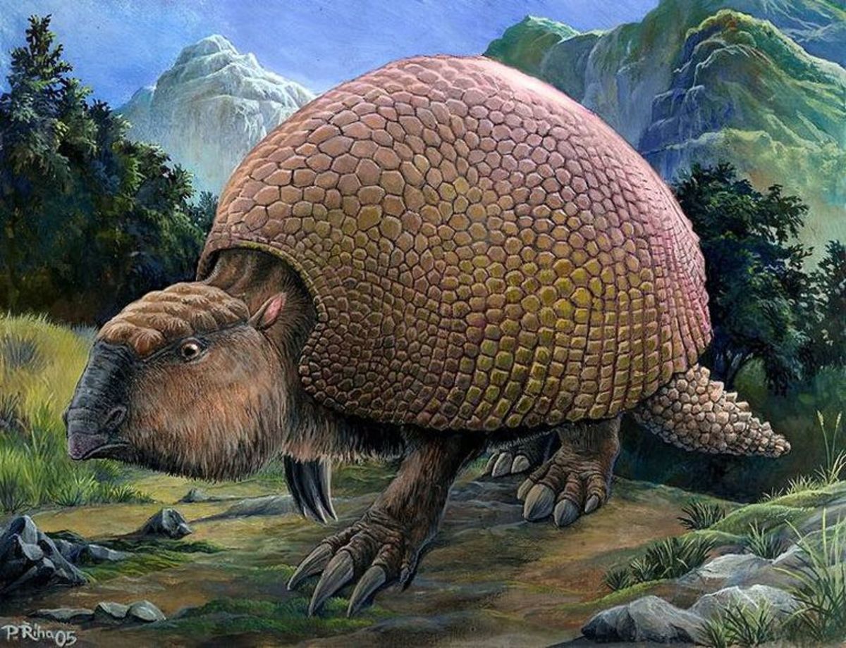 prehistoric-animals-and-their-modern-counterparts