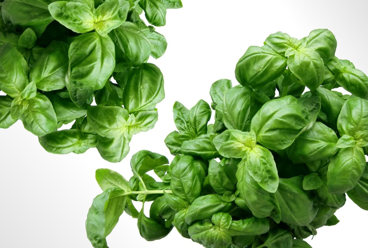 Spinach and dark leafy greens are high in folic acid.