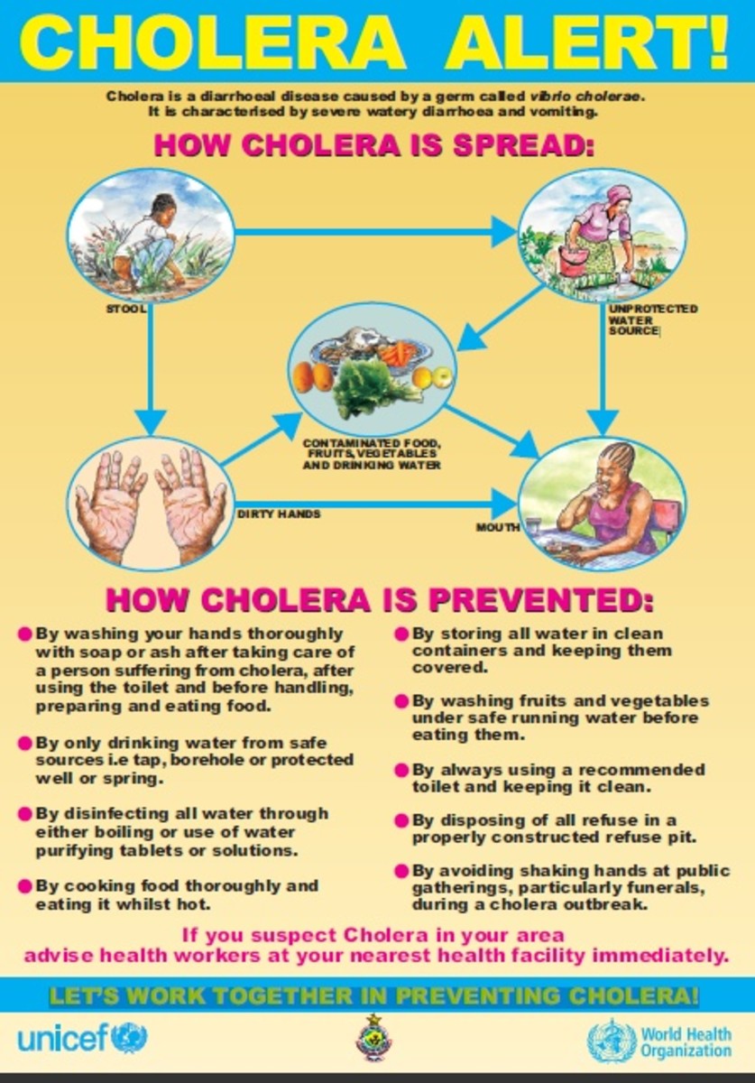 Cholera Transmission Warning