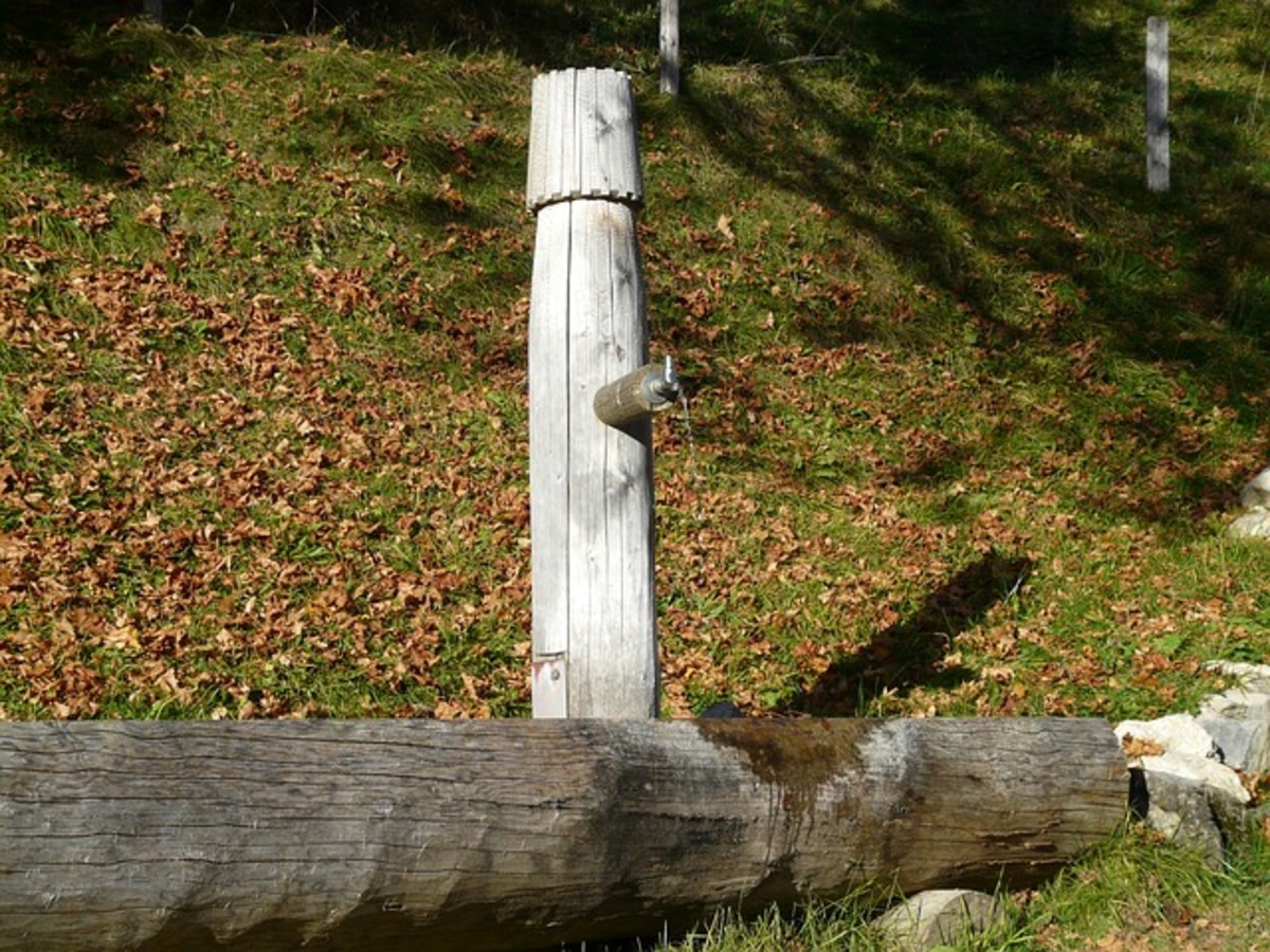 Spigot for Drinking Water on Wood Post