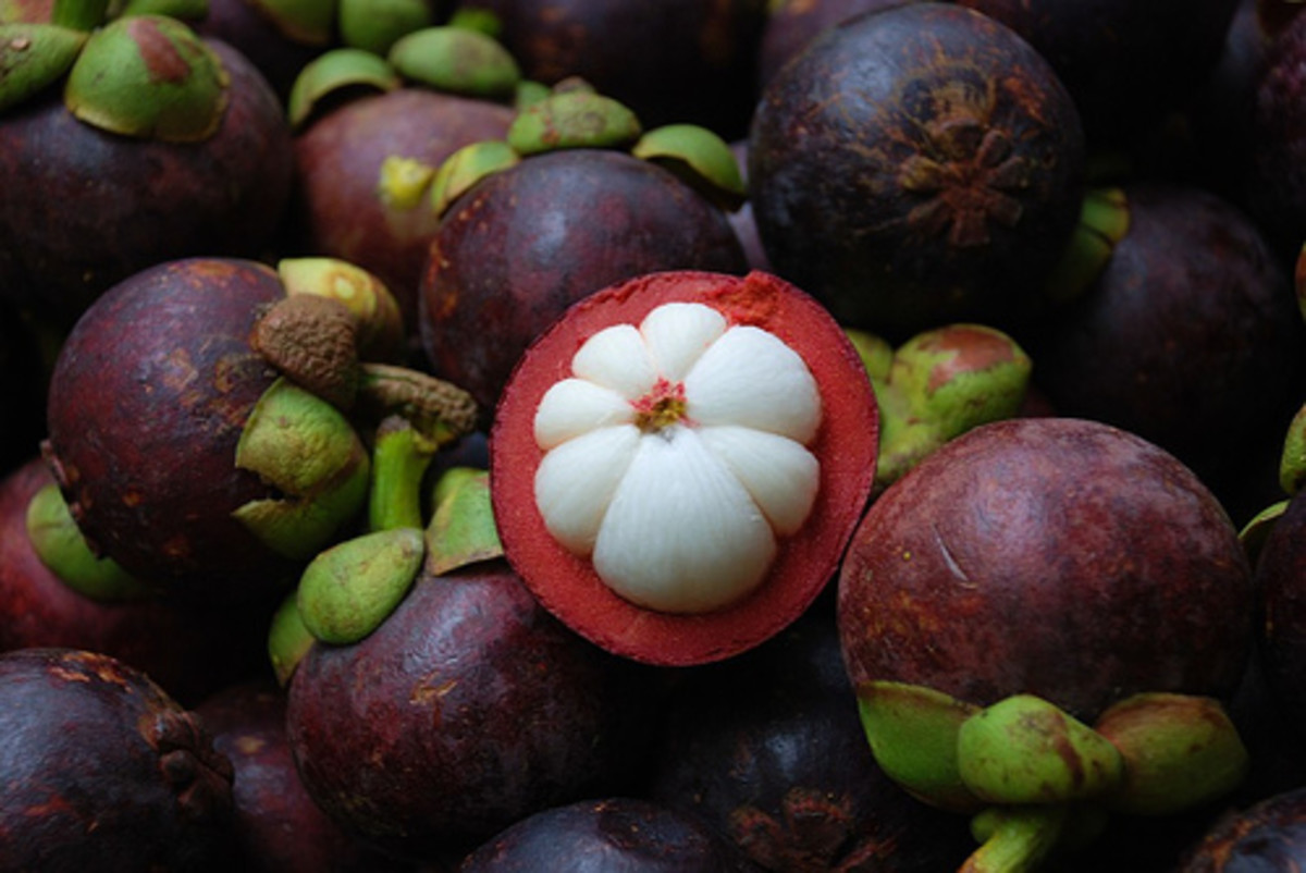 The Mangosteen: Queen of All Fruits