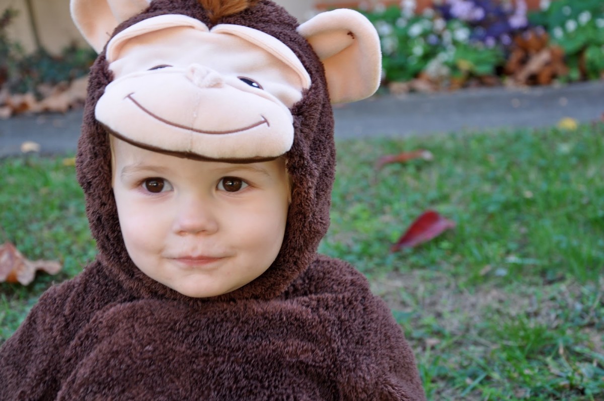 funny-monkey-costumes-for-babies