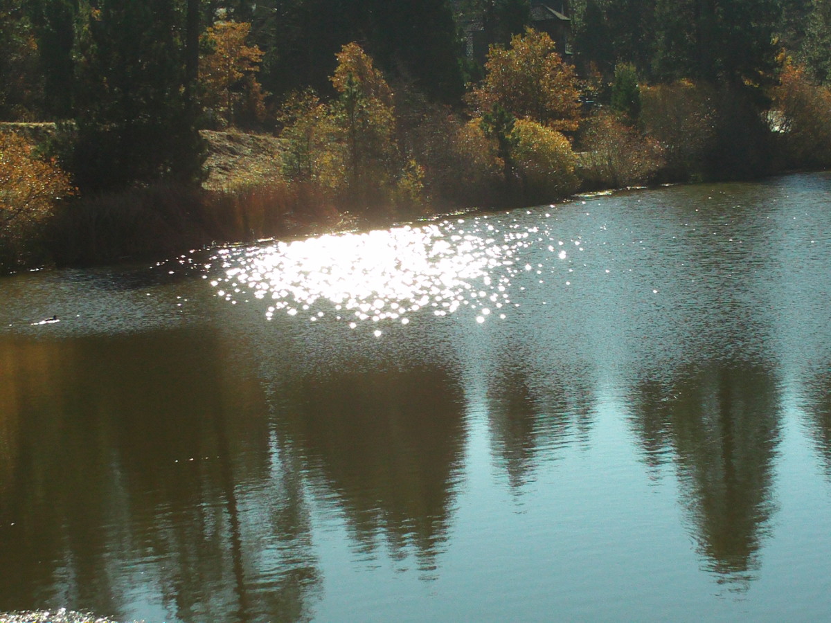 All that shimmers on Grass Valley Lake.