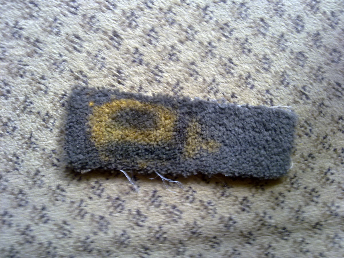 Carpet dyeing tests to get colour right for Bleach spots zoomed it looks more like a stain due 2 too dark a depth used