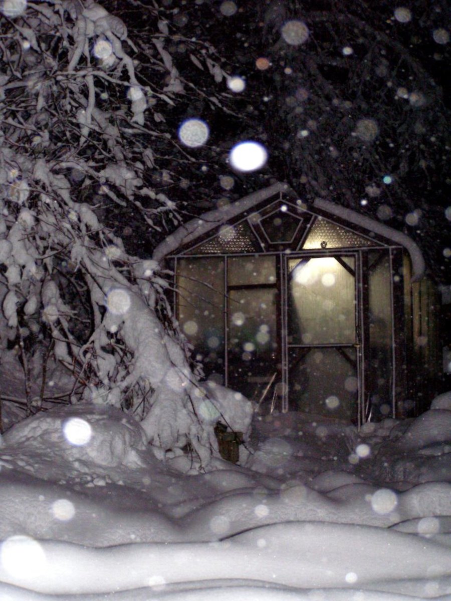Greenhouse in Winter