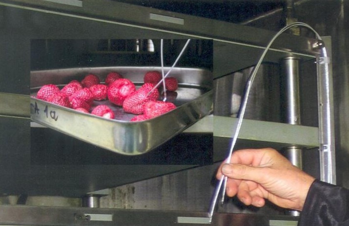 A freeze-dryer is used to preserve strawberries. Lyophilization is an important part of food preservation.