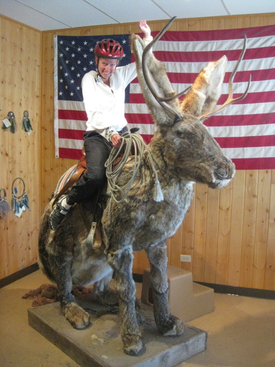 10-weird-and-unusual-things-to-do-in-wyoming