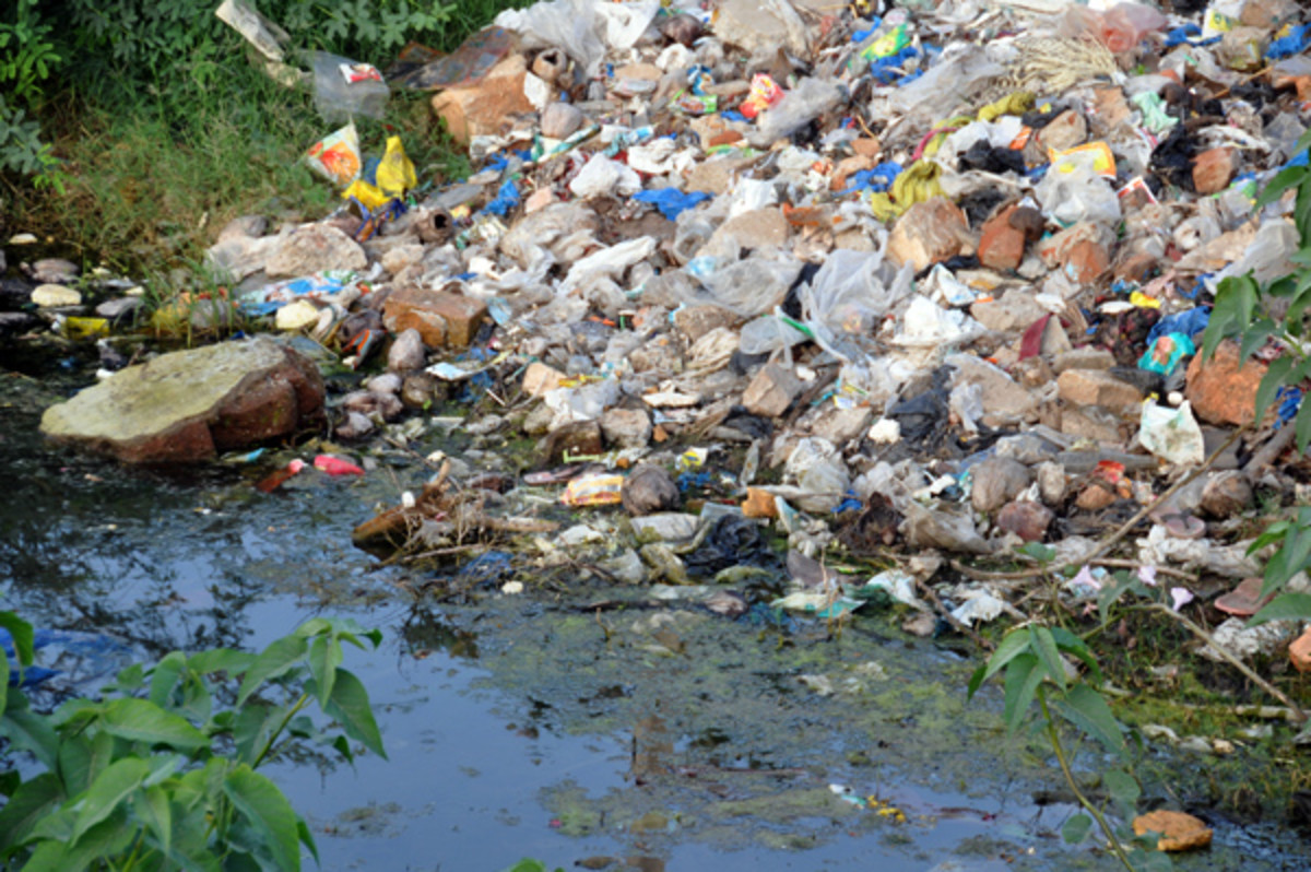 The refuse and rubbish of the town often gets discarded along the sides of the river bank. 